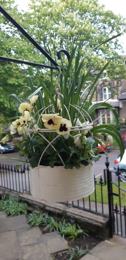 The Coppice Hotel Harrogate Exterior foto